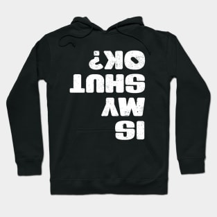 Is My Chute Ok?  Funny Skydiving Hoodie